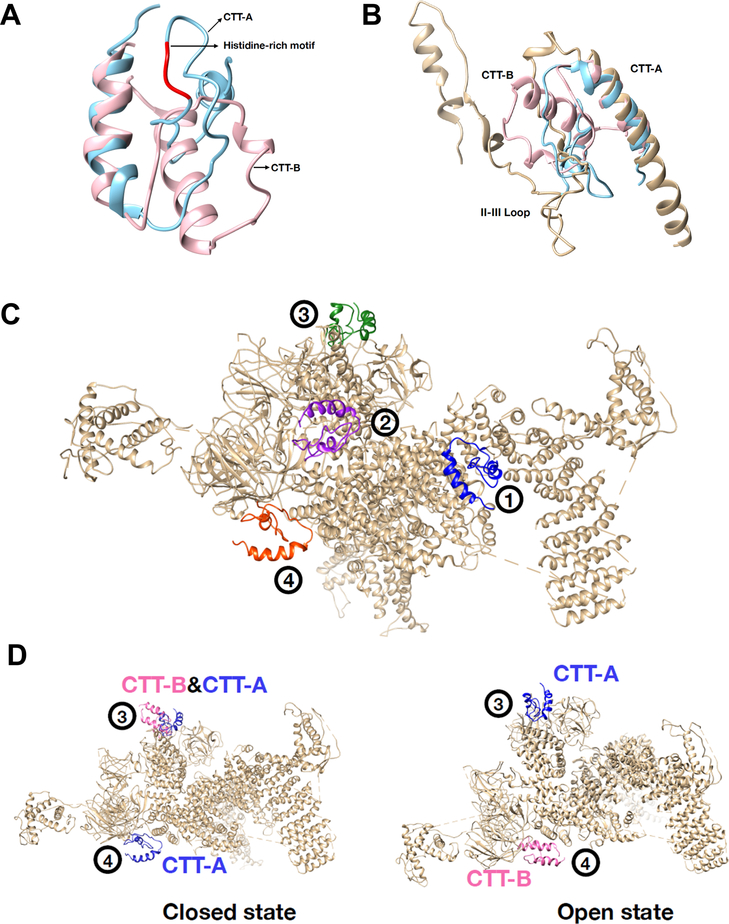 Fig. 8.