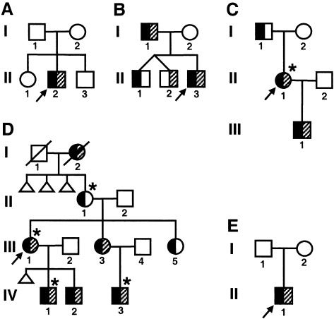 Figure  1