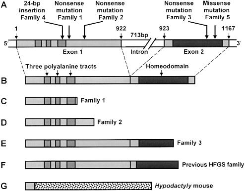 Figure  4