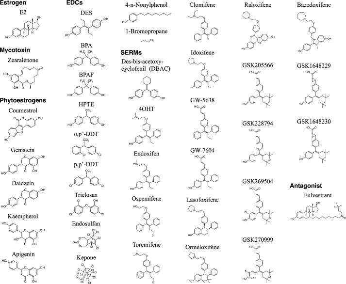 FIGURE 1.