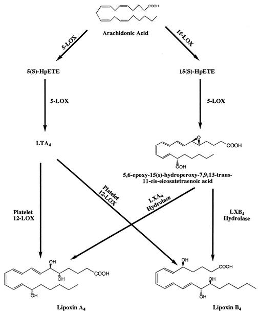 FIG. 8.