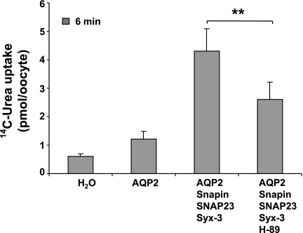 Fig. 10.