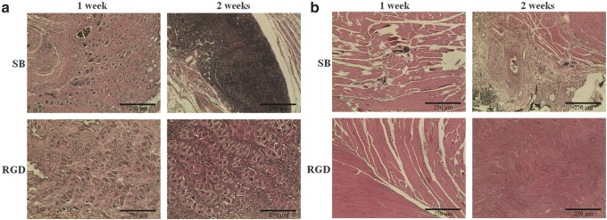 FIG. 17.