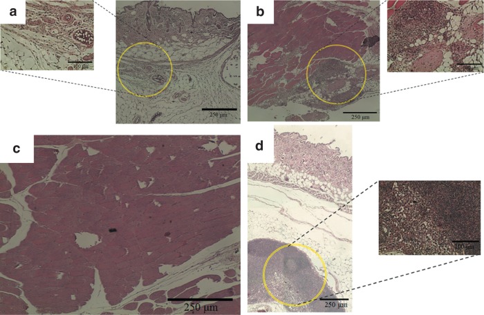 FIG. 16.