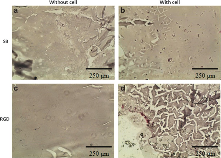 FIG. 14.