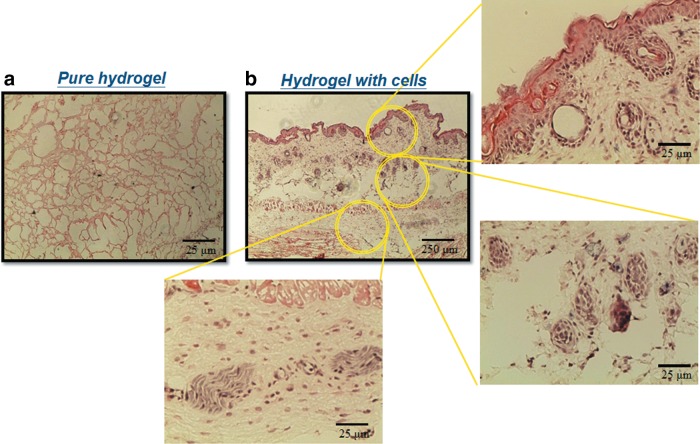 FIG. 15.