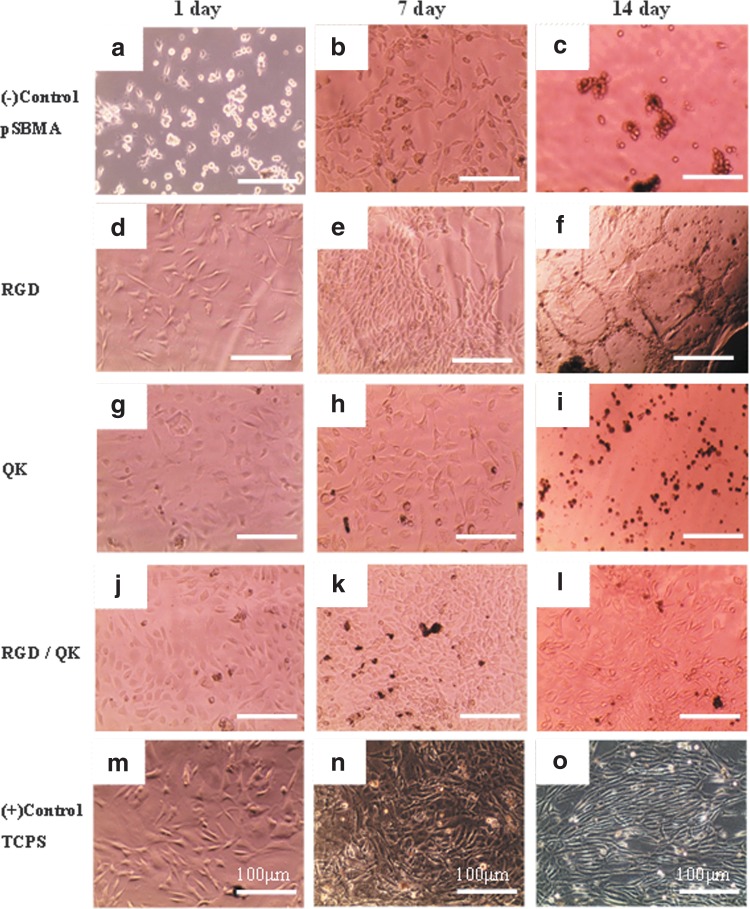 FIG. 9.