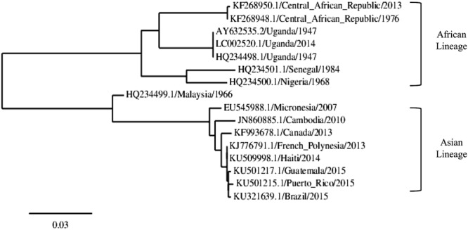 FIGURE 4