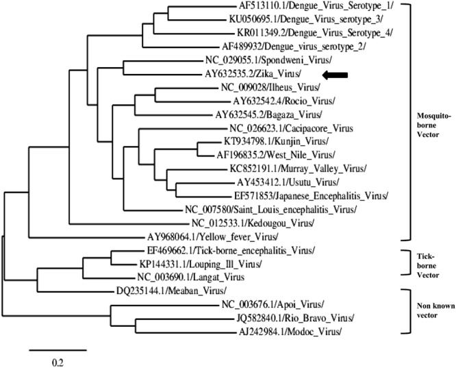 FIGURE 3