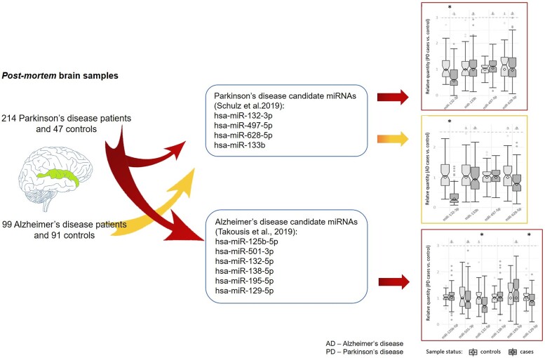 Graphical Abstract