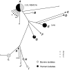 FIG 1