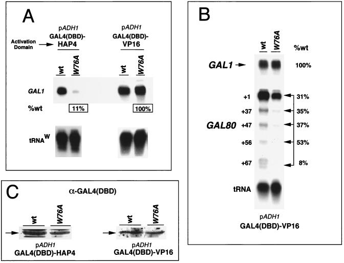 FIG. 7