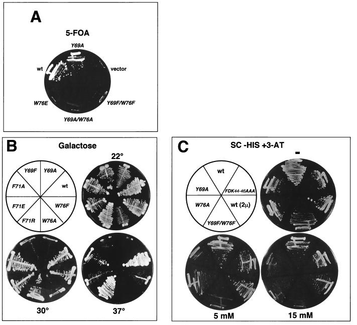 FIG. 2