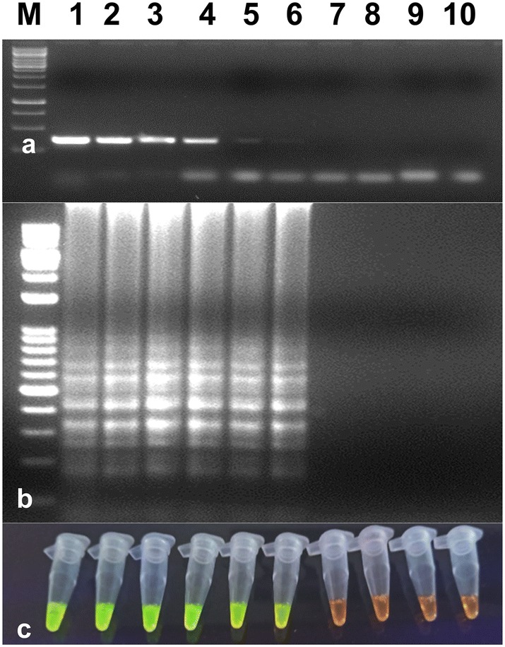 Fig. 4