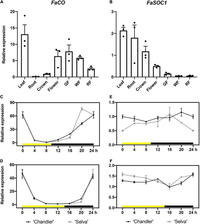 FIGURE 2