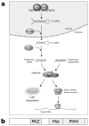 Figure 10.1