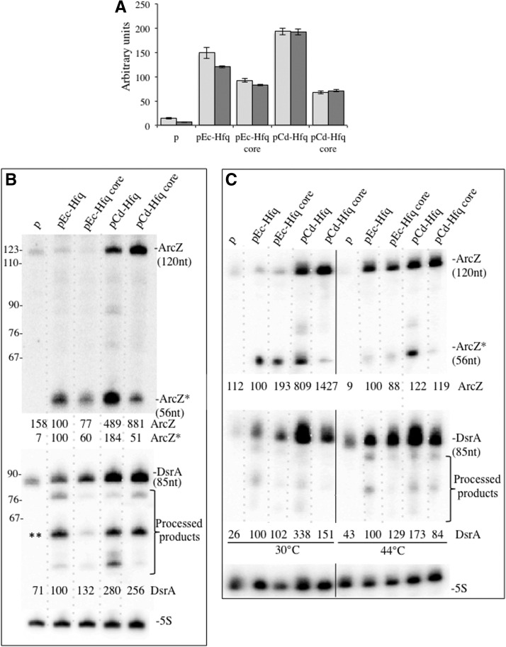 FIGURE 4.