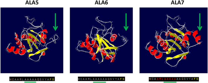 FIGURE 2