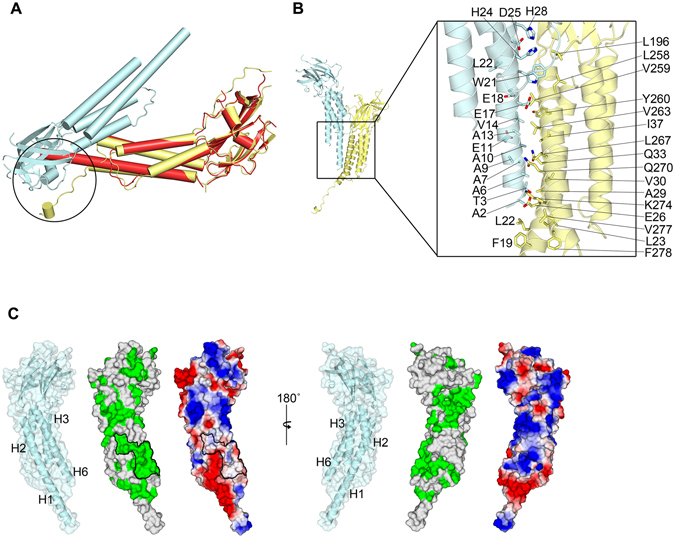 Figure 4