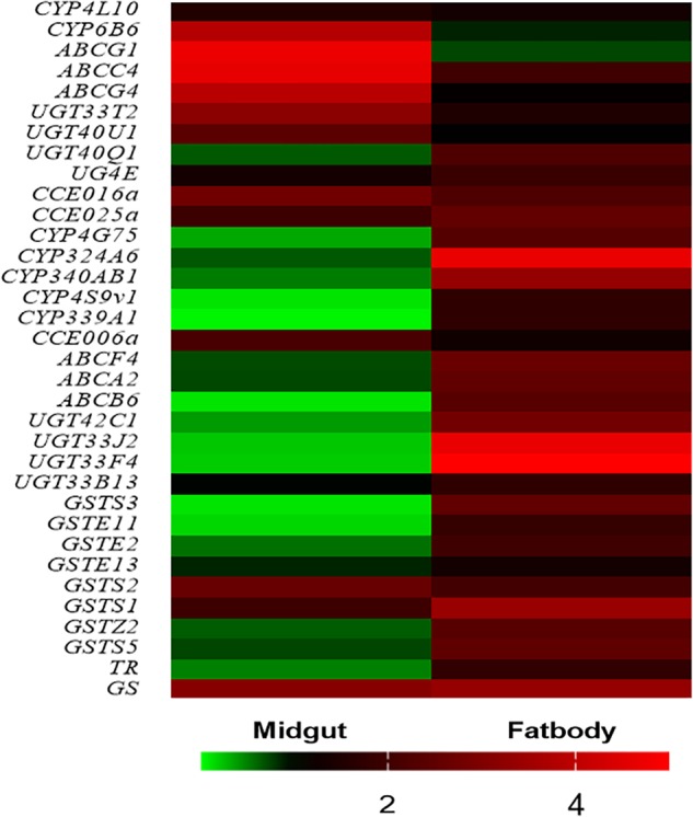 FIGURE 4