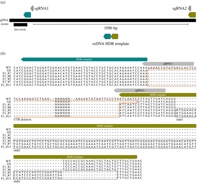 Figure 3. 