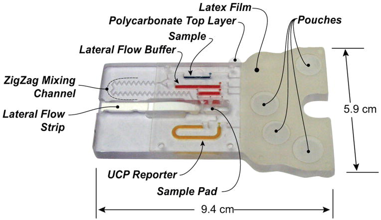 Fig. 2