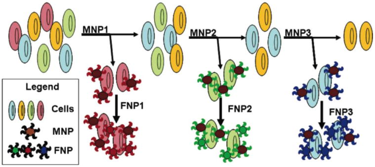 Fig. 3