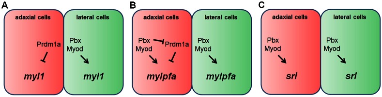 Fig. 9.