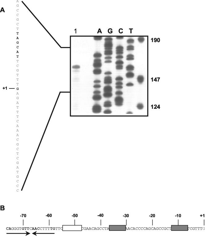 FIG. 4.