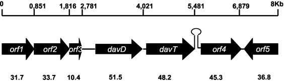 FIG. 2.