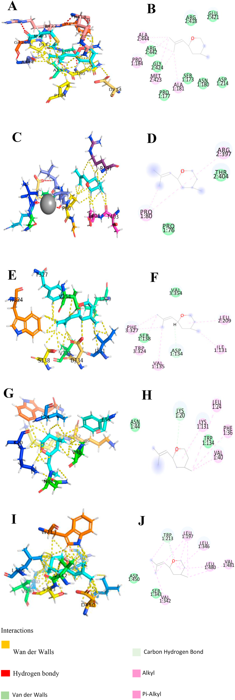 Figure 1