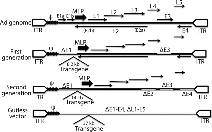 FIG. 4.