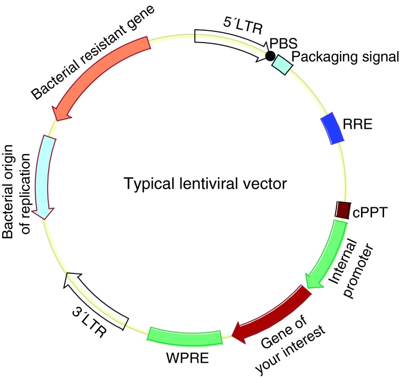 FIG. 1.