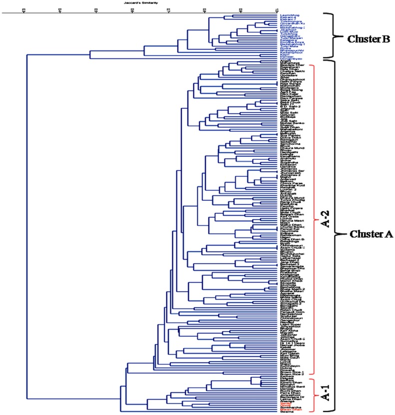 Fig 5