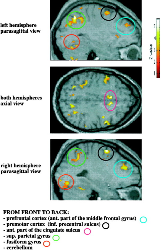 Fig. 3.