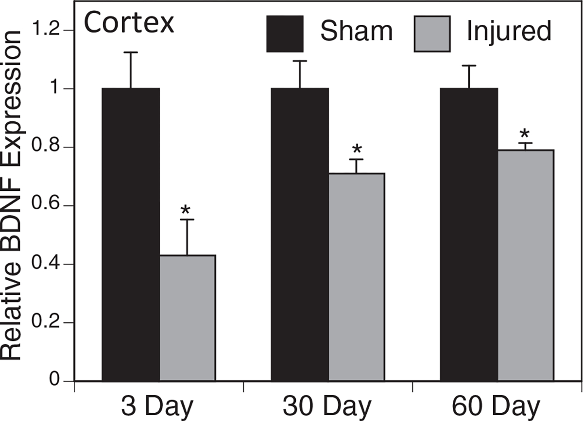 FIG. 10.