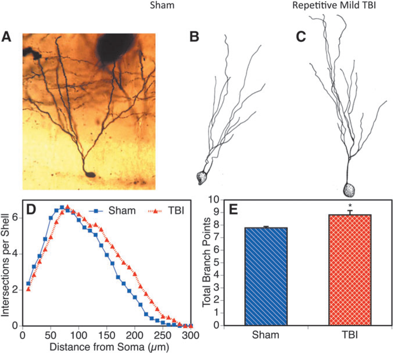 FIG. 7.