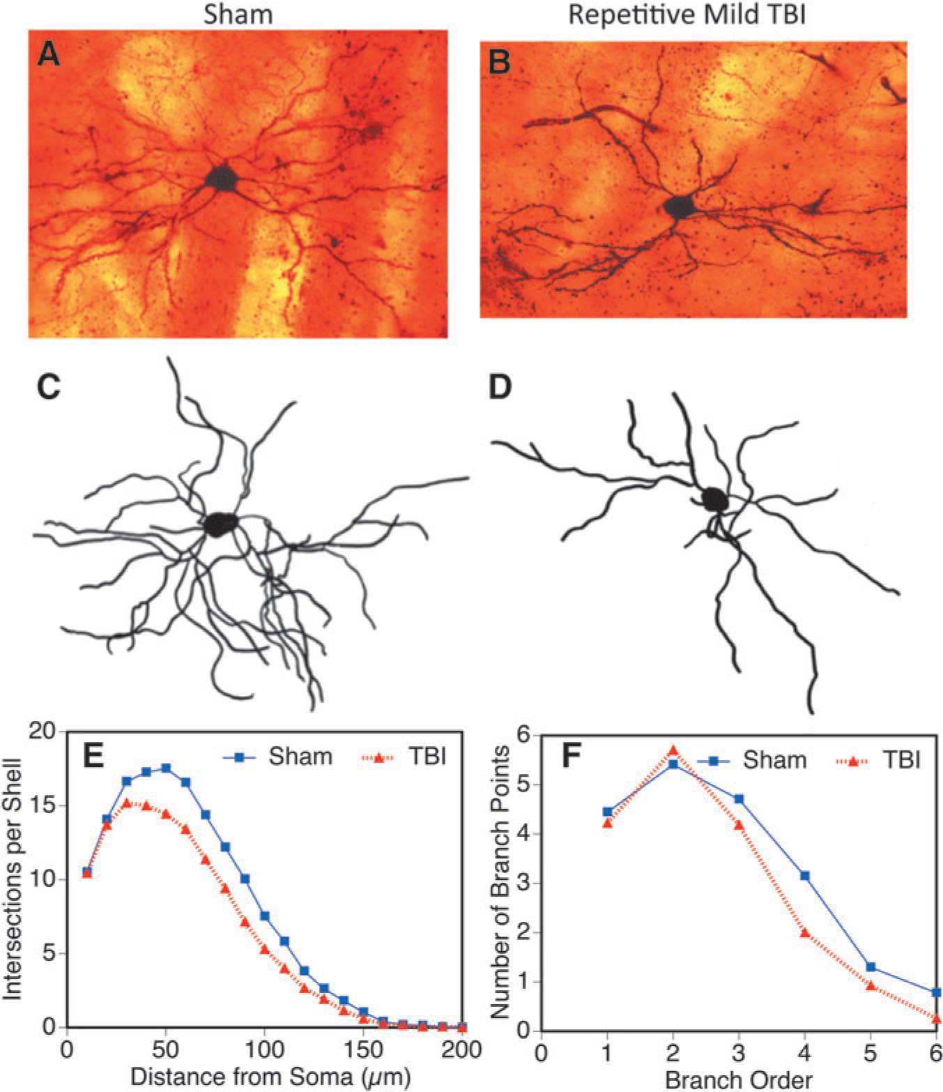 FIG. 8.