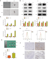 Figure 2 -