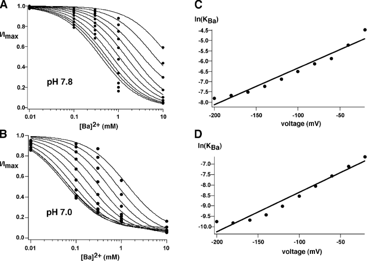 Figure 12. 