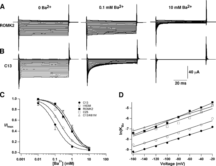 Figure 11. 