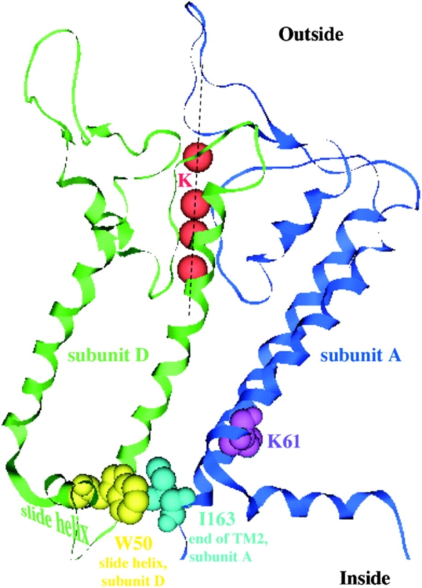 Figure 13. 