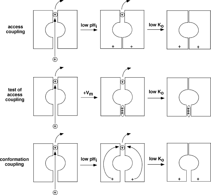 Figure 9. 