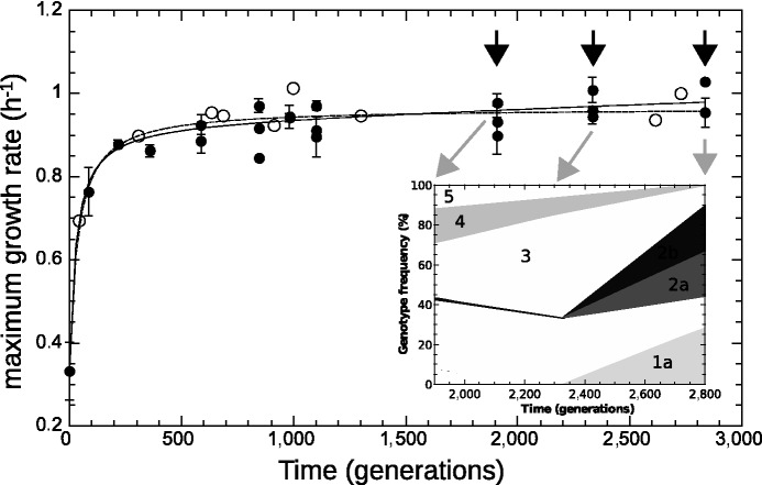 Fig. 3.—