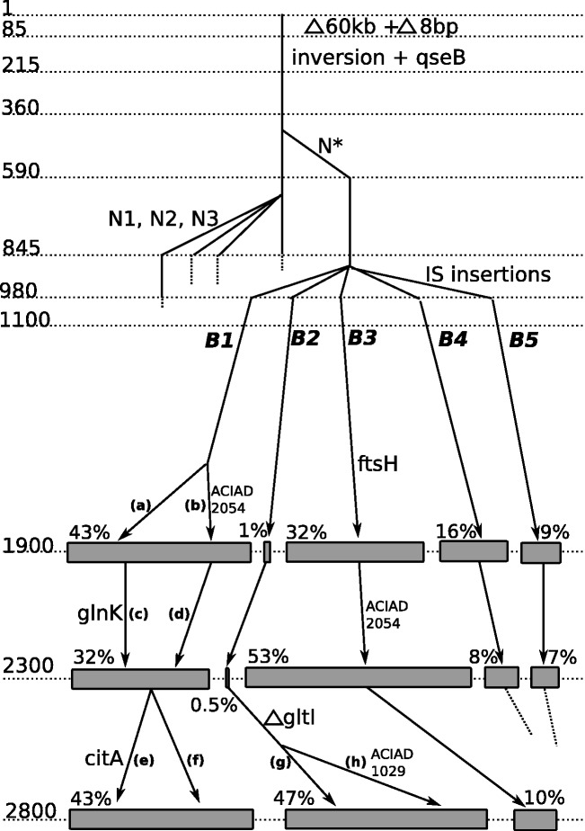 Fig. 2.—