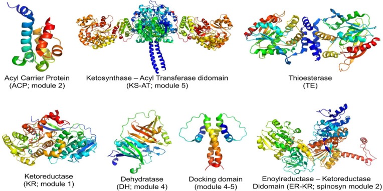 Figure 2