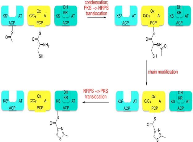 Figure 5