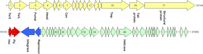 Figure 2.