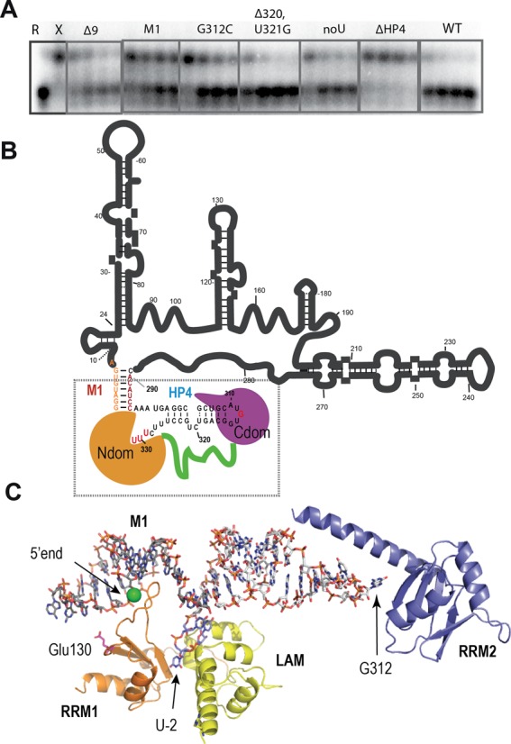 Figure 7.