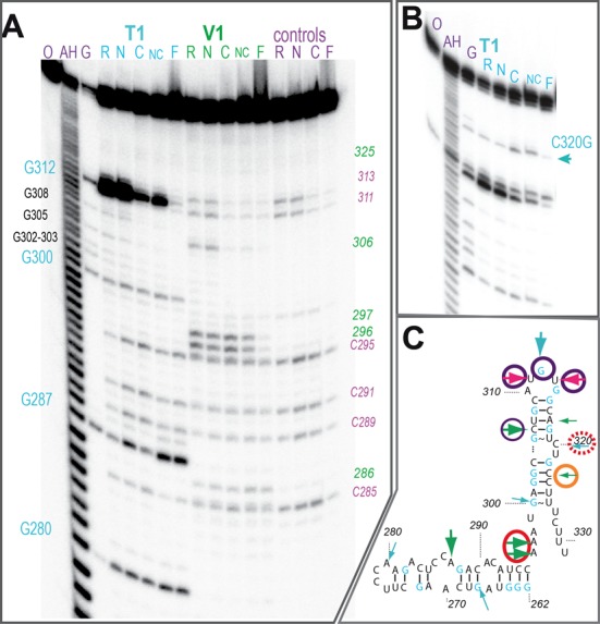 Figure 6.